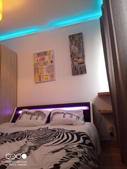 Le Gite "Manhattan Studio" Besancon Proche Centre Commerce 外观 照片